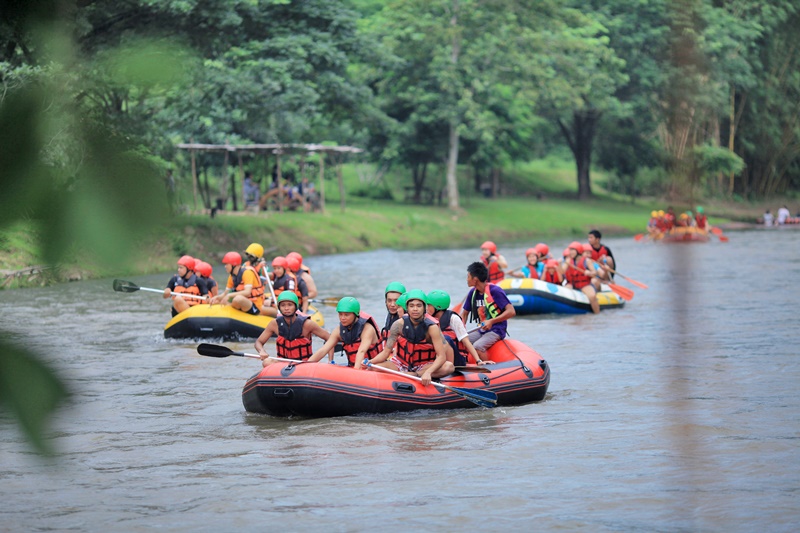 Activity